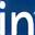 Icona LinkedIn